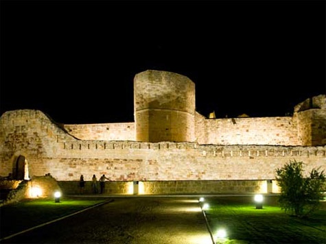Zamora_475x356